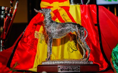 PREMIOS NACIONALES GALGOS ESPAÑA 2016