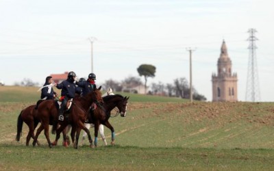 CARGOS TÉCNICOS DESIGNADOS PARA EL CAMPEONATO DE ESPAÑA