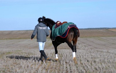 SOLICITUD PARA ACTUAR DE CARGO TÉCNICO EN LA FASE FINAL DEL LXXIX CAMPEONATO DE ESPAÑA DE GALGOS EN CAMPOS