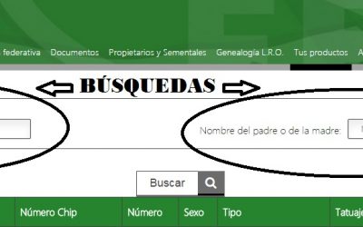 Búsqueda en «Tus productos»