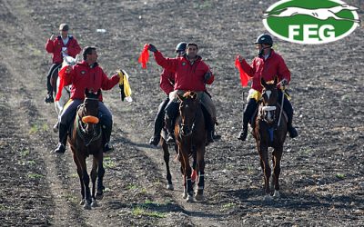 MODIFICACIONES EN EL REGLAMENTO DE CARRERAS DE GALGOS EN CAMPO