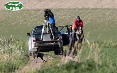 Acreditaciones de los medios de comunicación para el Campeonato de España