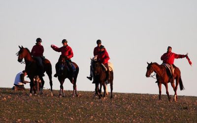 Cargos técnicos deportivos designados para el LXXXI Cto. de España de galgos en Campo