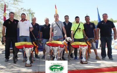 XXXI CAMPEONATO DE ESPAÑA DE GALGOS EN CAMPO CON LIEBRE MECÁNICA 2017