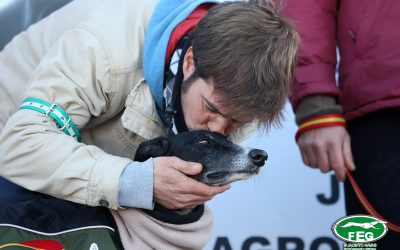 UNA VEZ MÁS, LOS PERROS UTILIZADOS PARA LA CAZA LOS MENOS ABANDONADOS