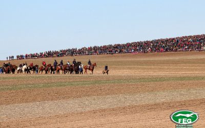 PREVIA DE LA FINAL DEL LXXX CAMPEONATO DE ESPAÑA DE GALGOS EN CAMPO COPA S.M. EL REY.