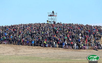 MILANA DE PACHICHI Y MALÚ DE VILLADIEZMA DISPUTARÁN LA FINAL DEL LXXX CAMPEONATO DE ESPAÑA DE GALGOS EN CAMPO.