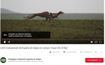 EL Campeonato de España de Galgos en Streaming