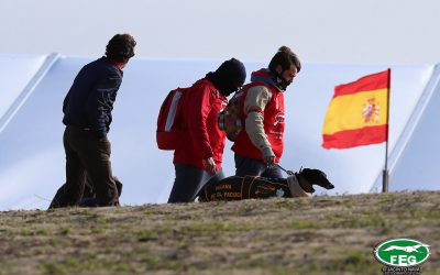 RECORDATORIO A LOS FEDERADOS