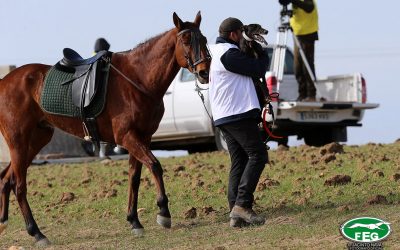 Acreditaciones de los medios de comunicación para el LXXXI Campeonato de España de Galgos en Campo