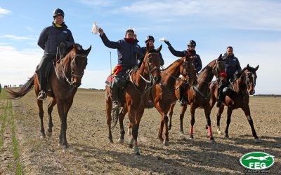 MODIFICACIÓN REGLAMENTO DE CARRERAS DE GALGOS EN CAMPO