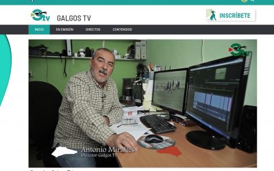 ANTONIO MIRALLES ESTRENA EL CANAL DE TELEVISIÓN GALGOSTV