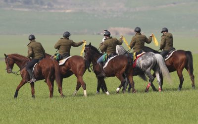 CARGOS TECNICOS DEPORTIVOS LXXXVII CAMPEONATO DE ESPAÑA DE GALGOS EN CAMPO