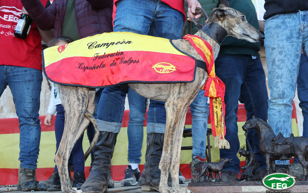 GENEALOGÍA PARTICIPANTES LXXXVII CTO DE ESPAÑA DE GALGOS EN CAMPO