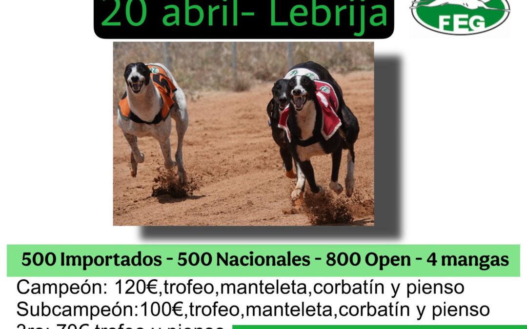 II CARRERA DE LA LIGA DE LIEBRE MECÁNICA DE LA FEG: LEBRIJA