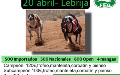 II CARRERA DE LA LIGA DE LIEBRE MECÁNICA DE LA FEG: LEBRIJA